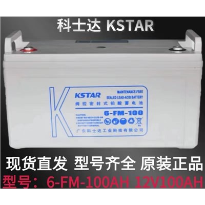 科士达/Kstar 6-FM-100 蓄电池100AH固定性密封免维护12V用于EPS/UPS不间断电源